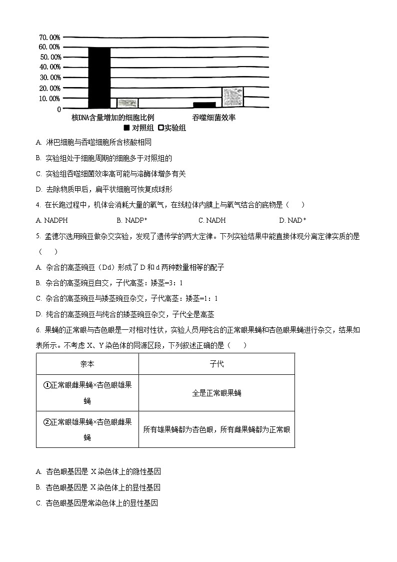 湖南省娄底市2023-2024学年高一下学期7月期末考试生物试题 Word版无答案第2页