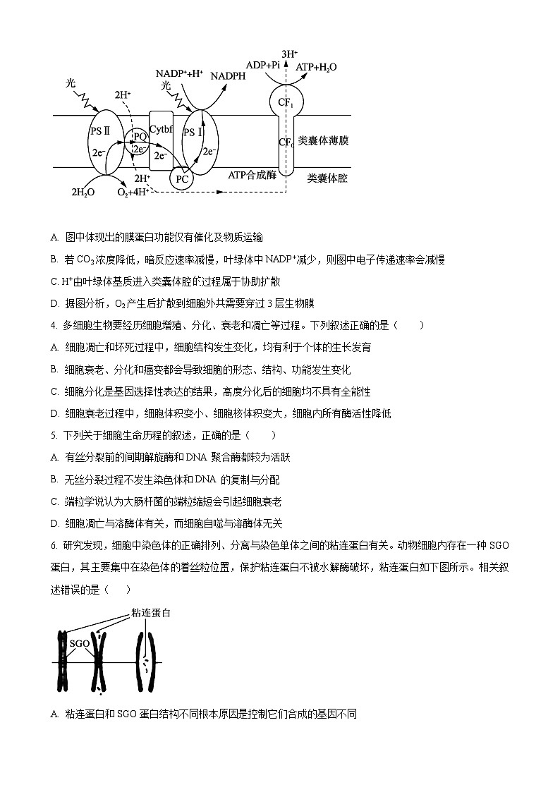 重庆市南开中学2023—2024学年高一下学期期末考试生物试题（Word版附解析）02