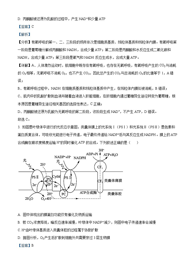 重庆市南开中学2023—2024学年高一下学期期末考试生物试题（Word版附解析）02