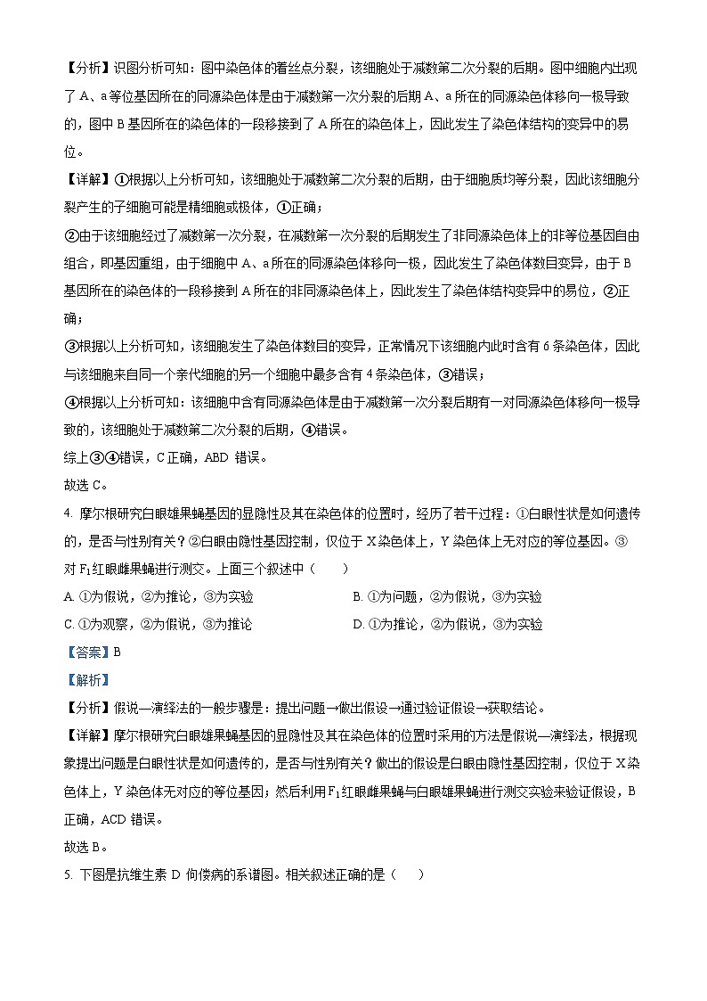重庆市七校联盟2023-2024学年高一下学期7月期末生物试题（Word版附解析）03