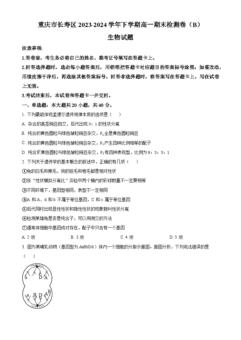 重庆市七校联盟2023-2024学年高一下学期7月期末生物试题（Word版附解析）01