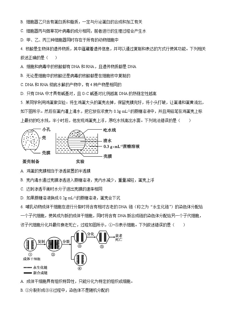 重庆市沙坪坝区重庆市第一中学校2023-2024学年高一下学期7月期末考试生物试题（Word版附解析）02