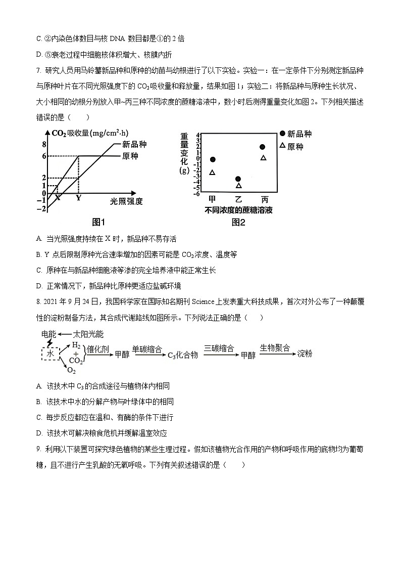 重庆市沙坪坝区重庆市第一中学校2023-2024学年高一下学期7月期末考试生物试题（Word版附解析）03