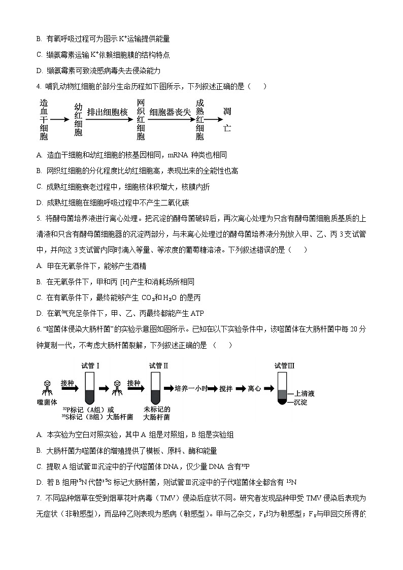 重庆市西南大学附属中学2023-2024学年高二下学期期末考试生物试题 Word版无答案第2页