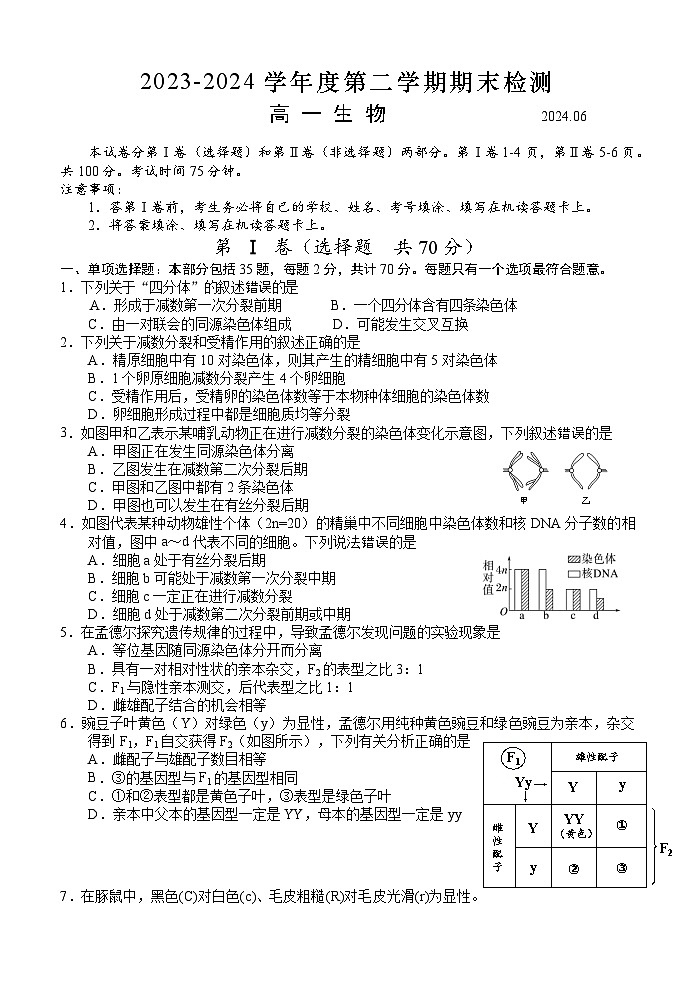 高一生物试卷第1页