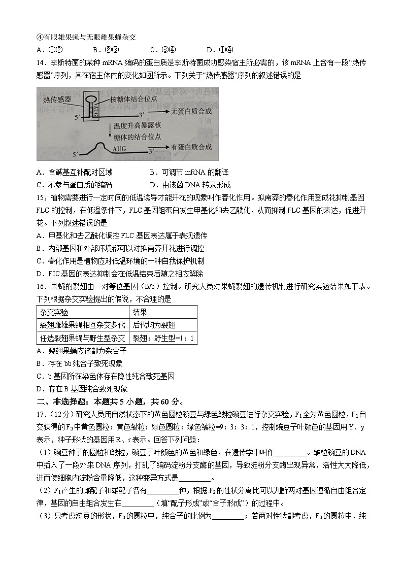 广东省汕尾市2023-2024学年高一下学期期末考试生物试题03