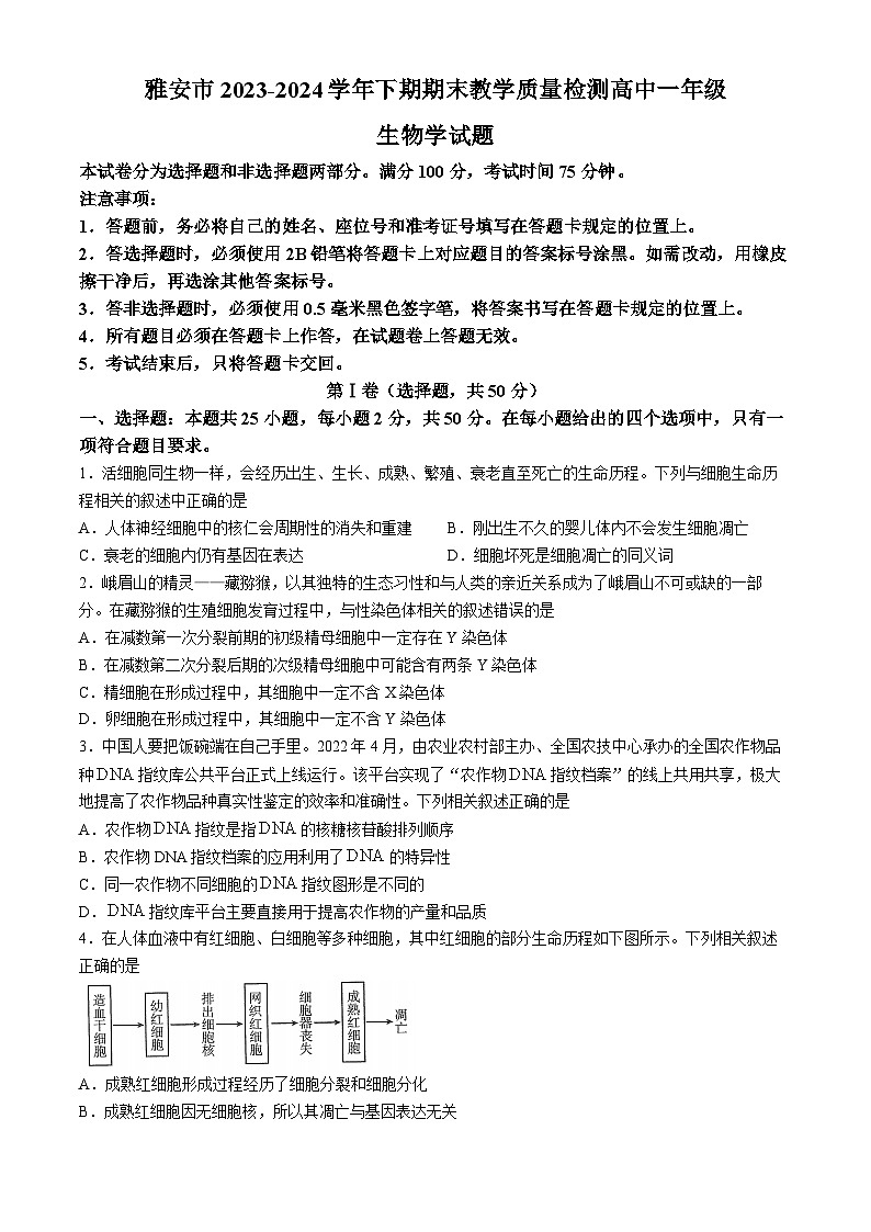 四川省雅安市2023-2024学年高一下学期期末考试生物试题(无答案)01