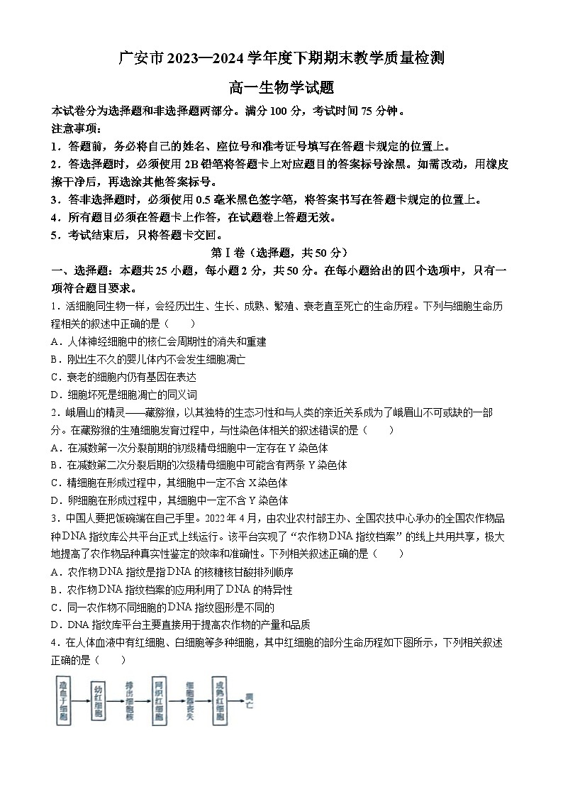 广安市2023-2024学年高一下学期期末考试生物试题01