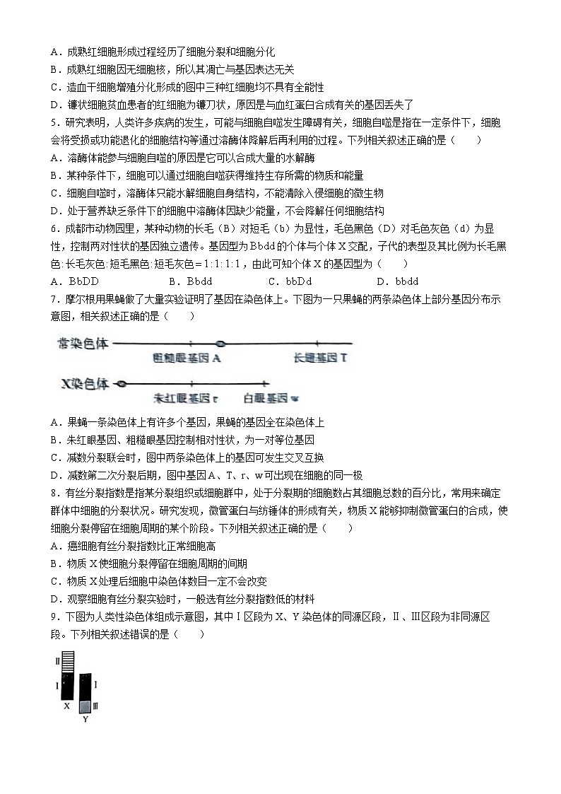 广安市2023-2024学年高一下学期期末考试生物试题02