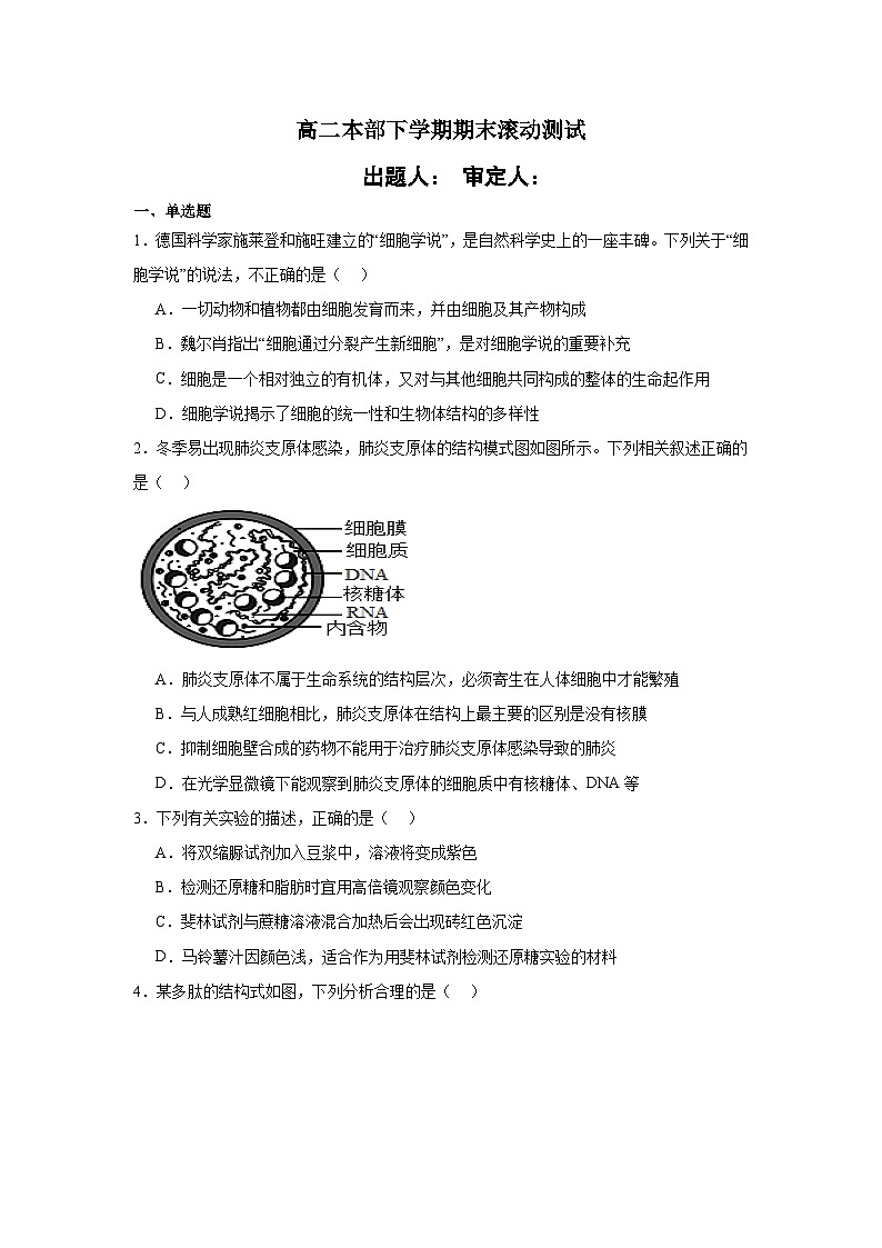 河南省淮滨高级中学2023-2024学年高二下学期期末模拟生物试题01