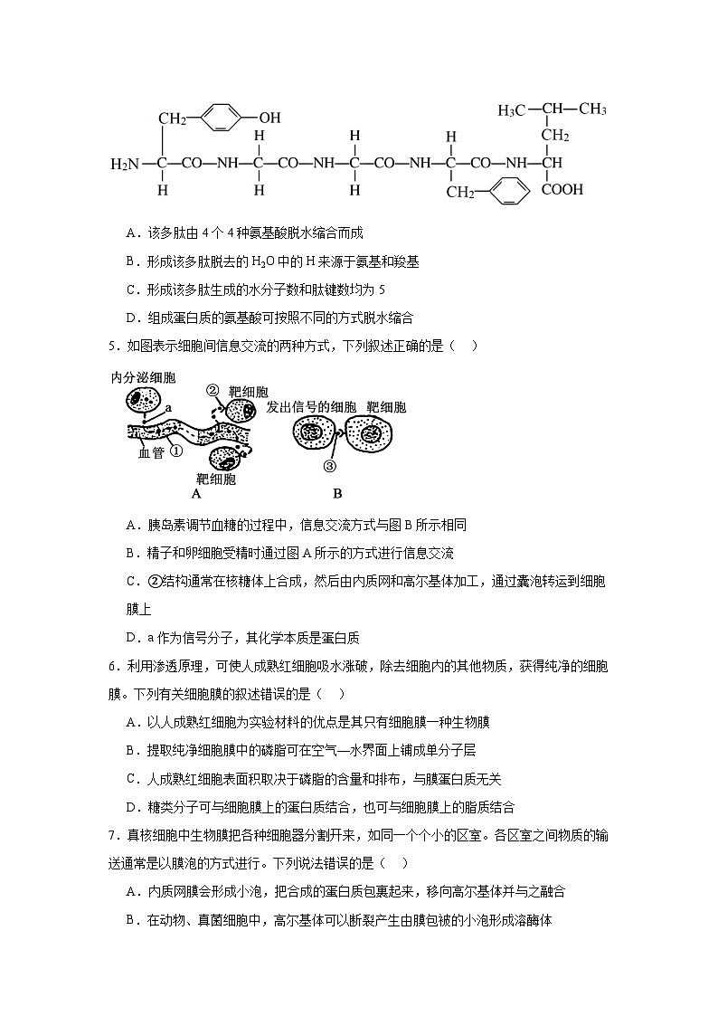 河南省淮滨高级中学2023-2024学年高二下学期期末模拟生物试题02