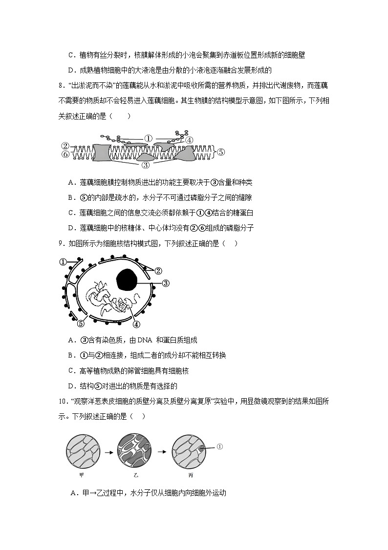 河南省淮滨高级中学2023-2024学年高二下学期期末模拟生物试题03
