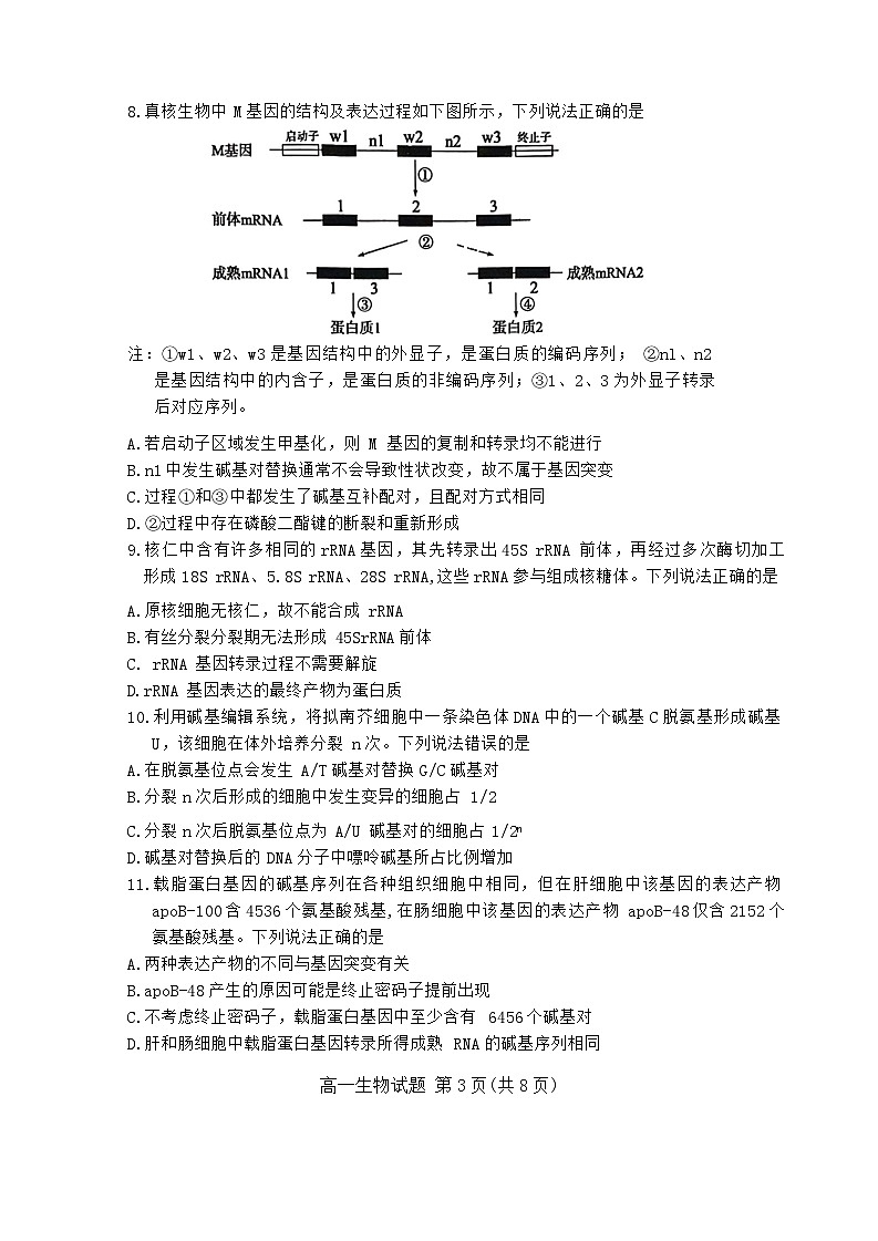 山东省德州市2023-2024学年高一下学期期末考试生物试题第3页