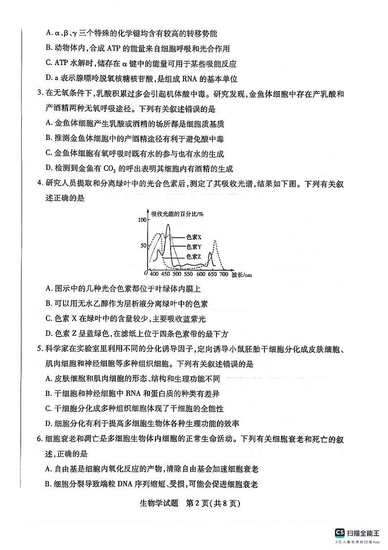 海南省期末联考2023-2024学年高一下学期7月期末生物试题02
