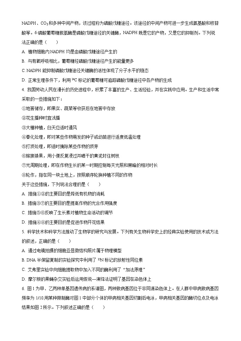 安徽省鼎尖联盟2024届高三下学期三模联考生物试卷（Word版附解析）02