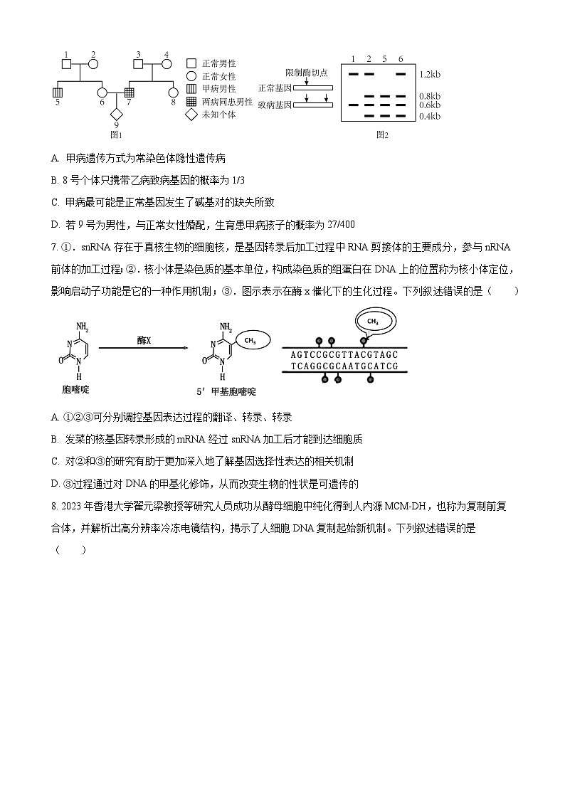 安徽省鼎尖联盟2024届高三下学期三模联考生物试卷（Word版附解析）03