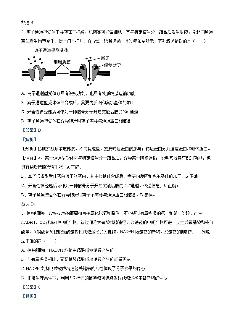 安徽省鼎尖联盟2024届高三下学期三模联考生物试卷（Word版附解析）02