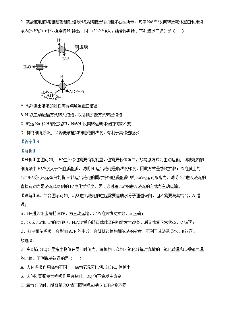 安徽省马鞍山市2024届高三下学期二模生物试卷（Word版附解析）02