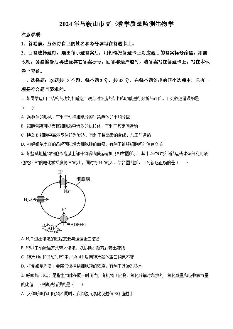 安徽省马鞍山市2024届高三下学期二模生物试卷（Word版附解析）01