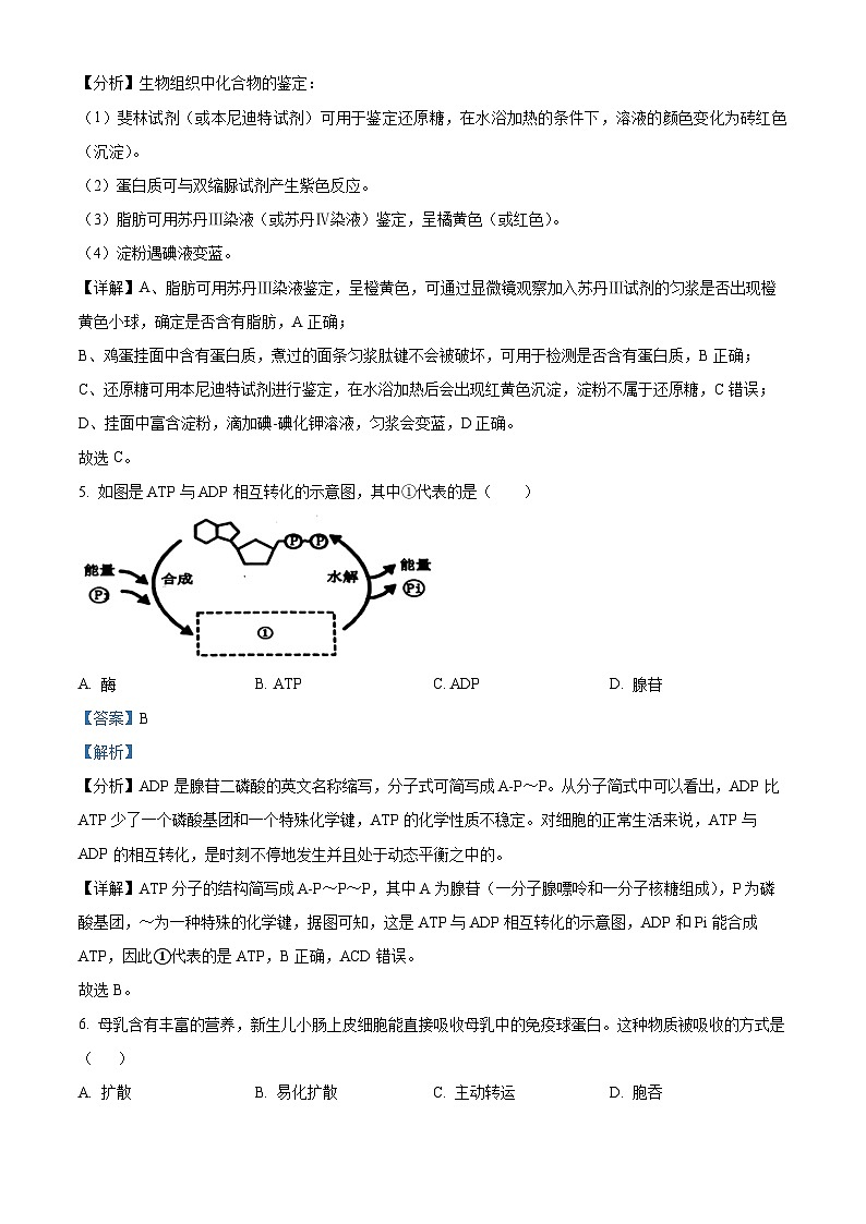 浙江省宁波市慈溪市2023-2024学年高一下学期学业水平考试适应性生物试卷（Word版附解析）03