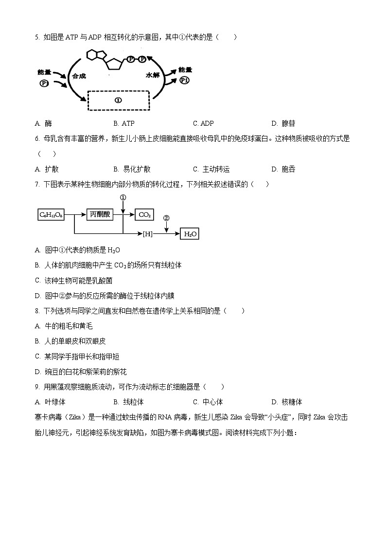 浙江省宁波市慈溪市2023-2024学年高一下学期学业水平考试适应性生物试卷（Word版附解析）02