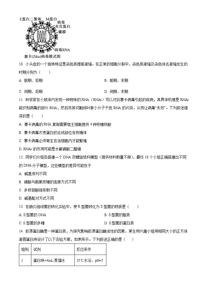 浙江省宁波市慈溪市2023-2024学年高一下学期学业水平考试适应性生物试卷（Word版附解析）03