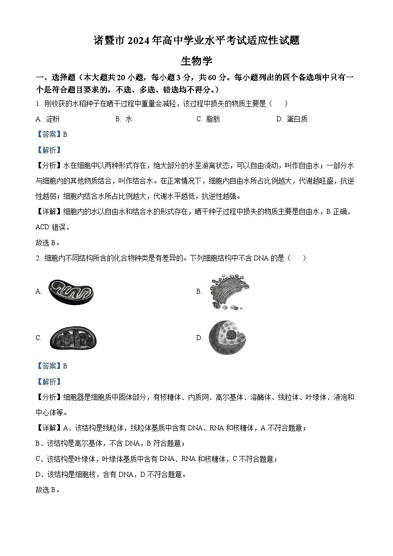 浙江省诸暨市2023-2024学年高一下学期学业水平考试适应性生物试卷（Word版附解析）01