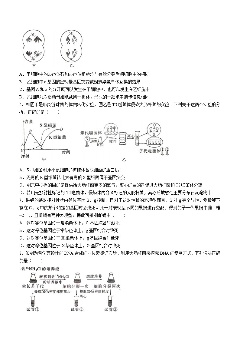 广东省湛江市霞山区2023-2024学年高一下学期7月期末生物试题(无答案)02