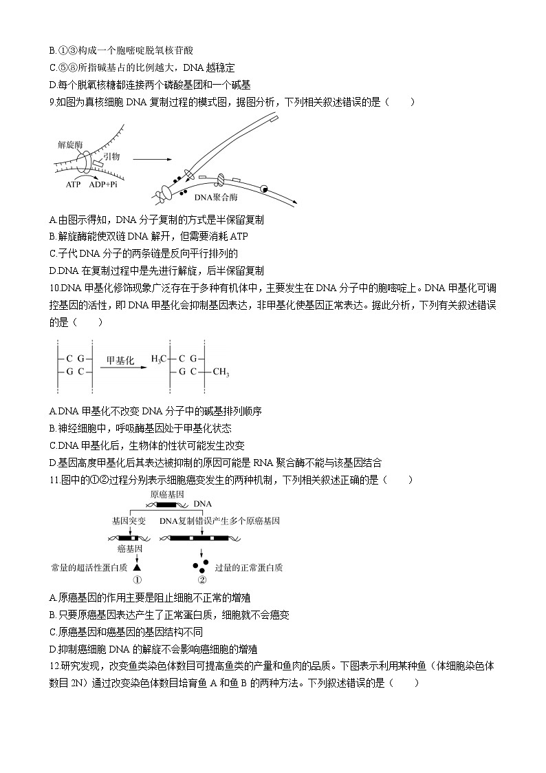 湖南省娄底市涟源市2023-2024学年高一下学期7月期末生物试题03