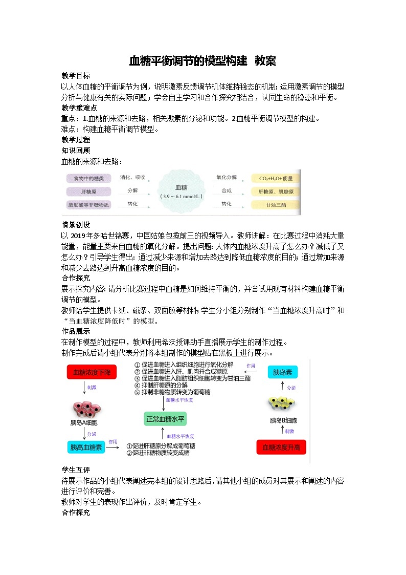 3.2 激素调节的过程——血糖平衡调节的模型构建 教案-2024-2025学年高二上学期生物人教版选择性必修101