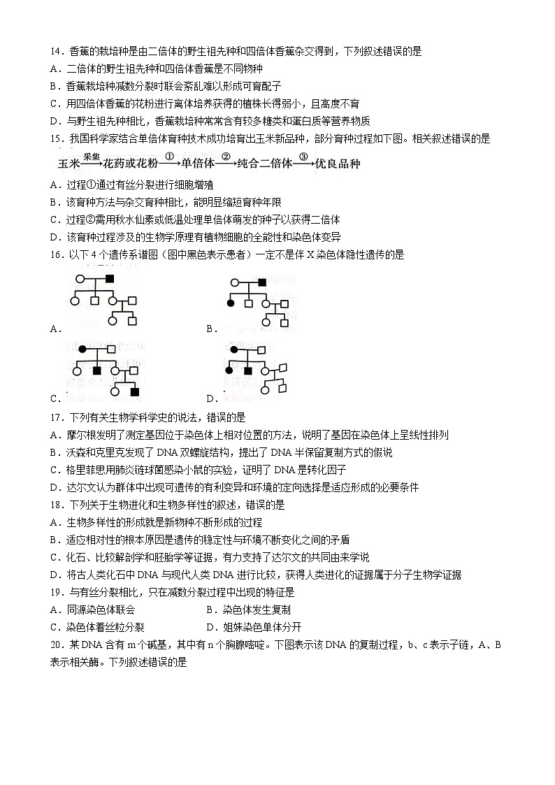 福建省漳州市2023-2024学年高一下学期期末考试生物试题第3页