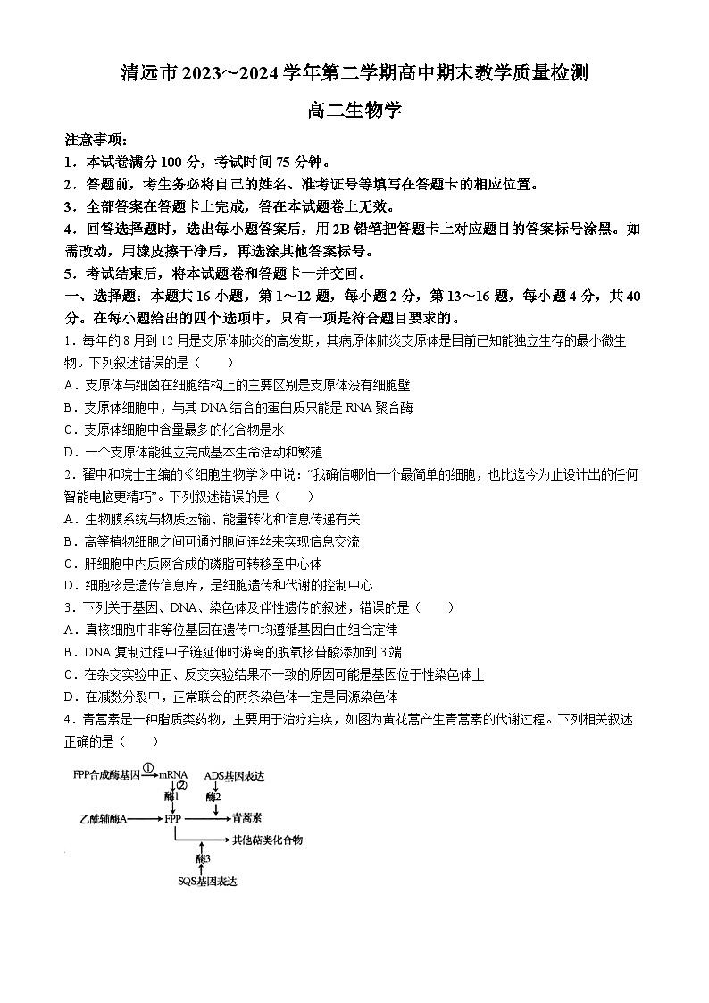 广东省清远市2023-2024学年高二下学期7月期末考试生物试题01