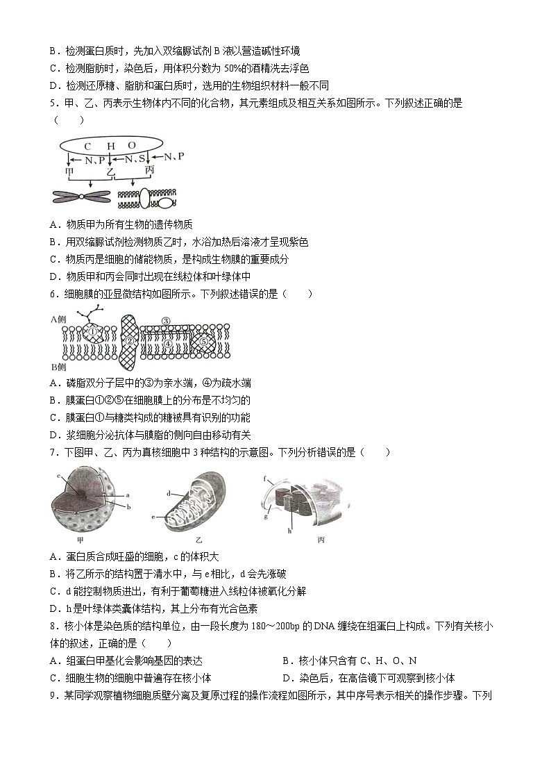 河北省秦皇岛市卢龙县2023-2024学年高二下学期期末考试生物试题(无答案)02
