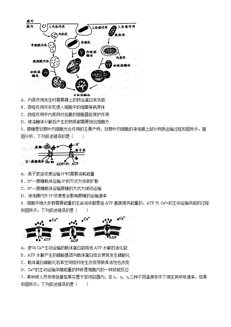 四川省成都市2023-2024学年高二下学期期末考试生物试题(无答案)第2页