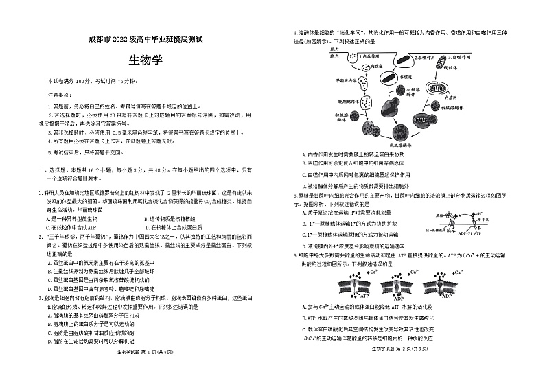 四川省成都市成华区2023-2024学年高二下学期7月期末考试生物试题01