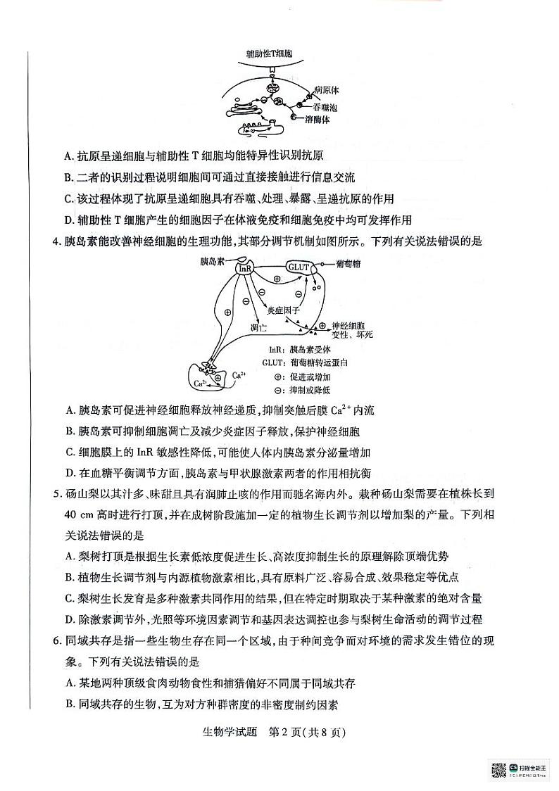 安徽省天一大联考2023-2024学年高二下学期7月期末生物试题第2页