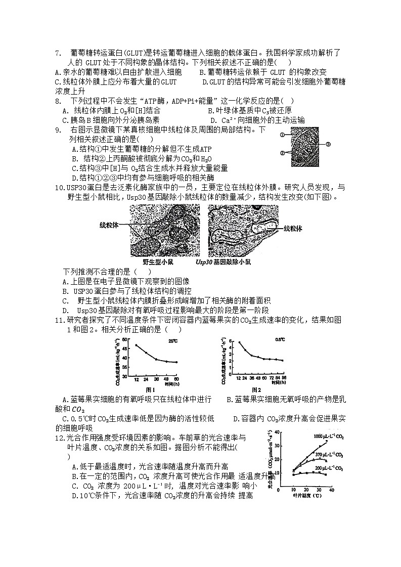 北京交通大学附属中学2023—2024学年高一下学期期末考试生物试卷第2页