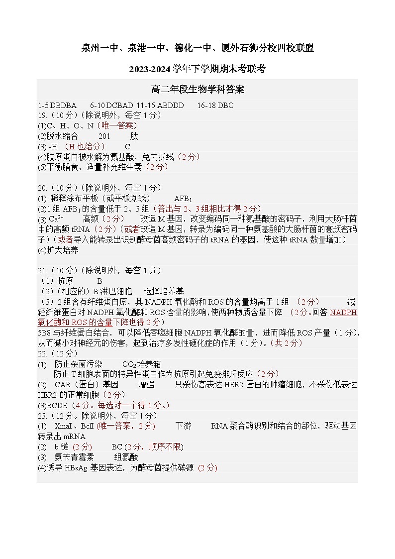 泉州一中、泉港一中、德化一中、厦外石狮分校四校联盟2023-2024学年下学期期末考联考高二年段生物学科答案第1页