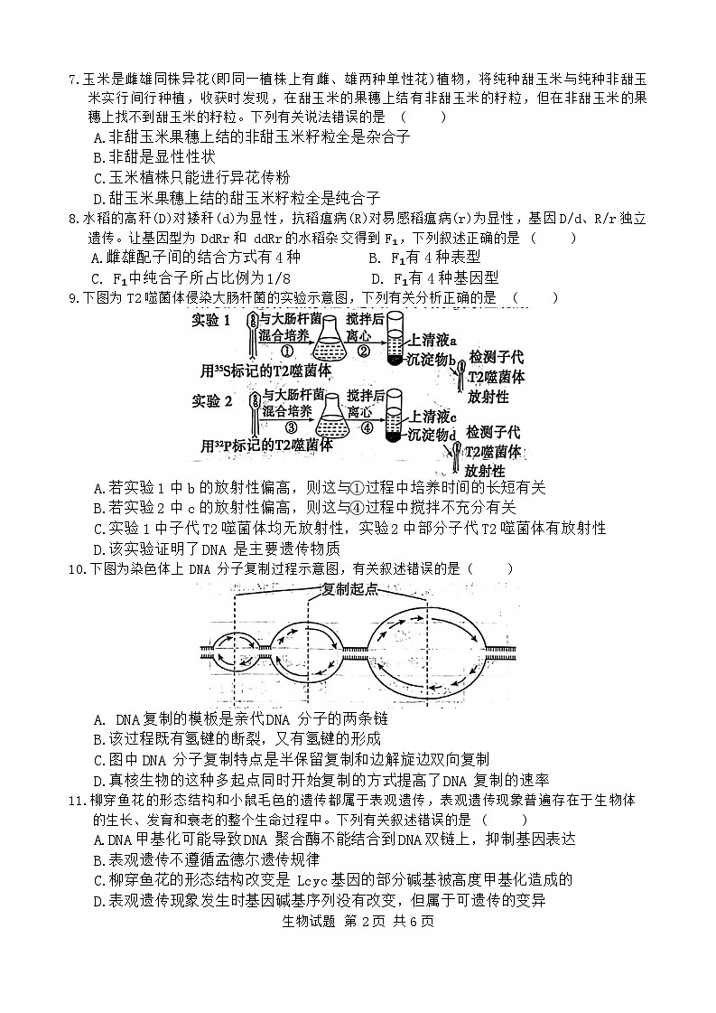 广东省惠州市2023-2024学年高一下学期7月期末生物试题02