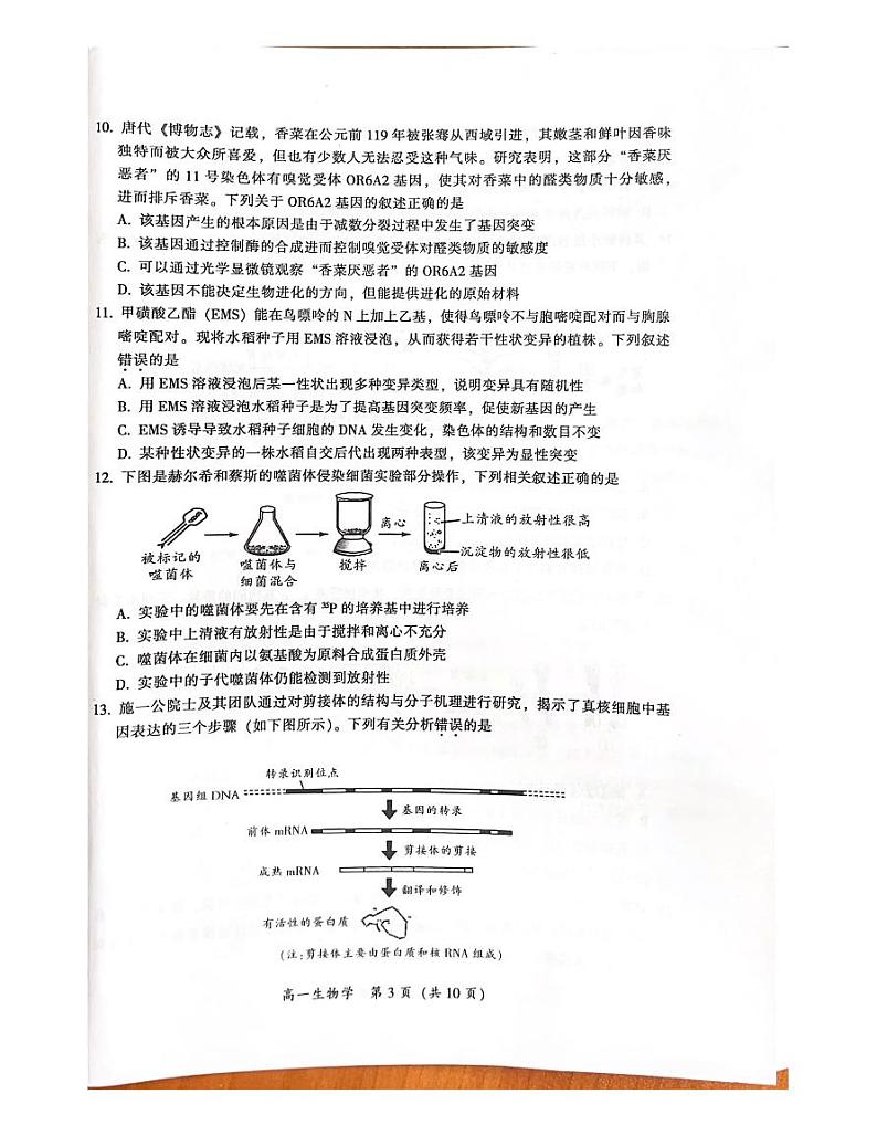 广东省韶关市武江区广东韶关实验中学2023-2024学年高一下学期7月期末生物试题03