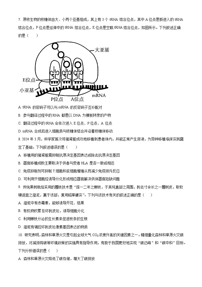 2025届广东省惠州市高三上学期第一次调研考试生物试题03