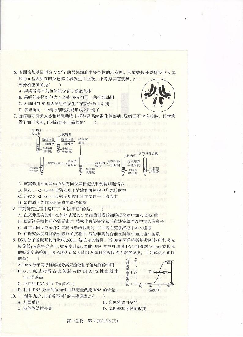 河南省许昌市2023—2024学年高一下学期期末考试生物试题02