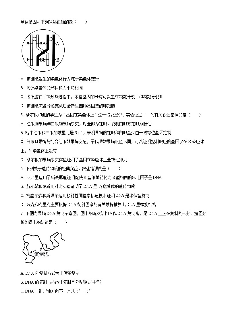 2024邯郸高一下学期6月期末考试生物含解析02