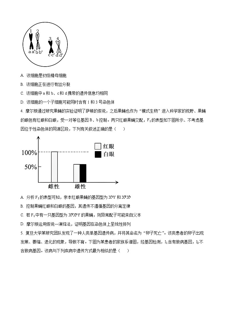 2024南阳六校高一下学期6月期末考试生物含解析02