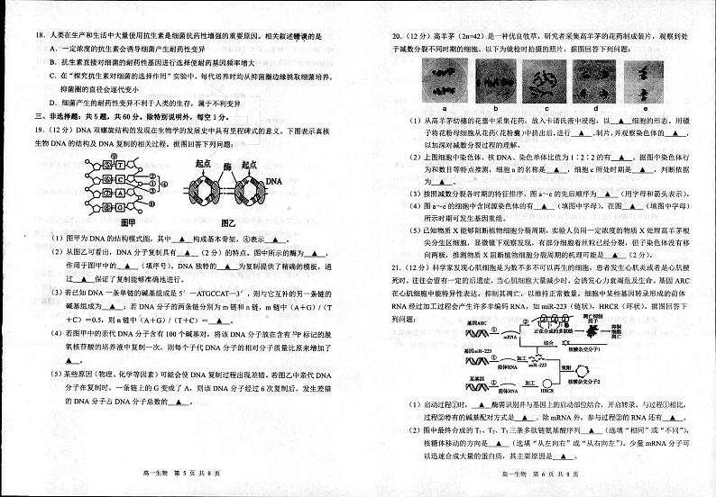 2024宿迁高一下学期6月期末考试生物PDF版含答案03