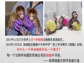 新人教版  高一 生物必修一  第一章第一节   生命活动的基本单位  课件ppt