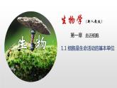 新人教版  高一 生物必修一  第一章第一节   生命活动的基本单位  课件ppt