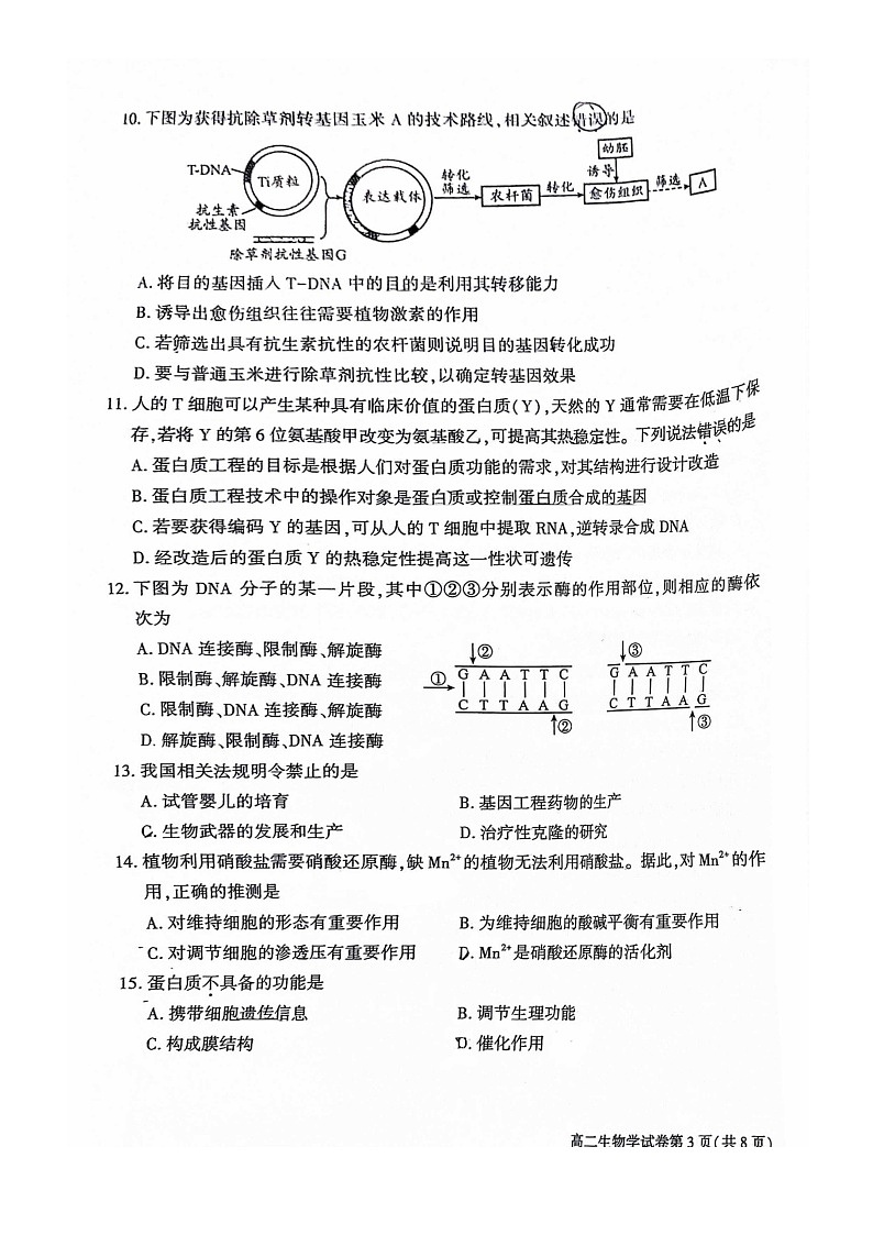 [生物][期末]2024北京大兴高二下学期期末生物试卷及答案03