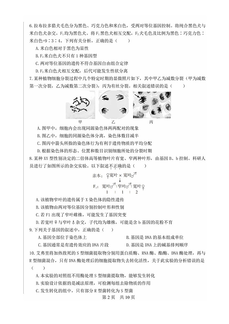 [生物][期末]2024北京一零一中高一下学期期末生物(等级考)试卷及答案02