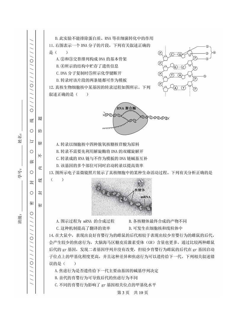 [生物][期末]2024北京一零一中高一下学期期末生物(等级考)试卷及答案03